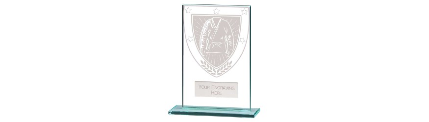 MILLENNIUM MARTIAL ARTS GLASS TROPHY - 6 SIZES - 8CM - 18CM MILLENNIUM MARTIAL ARTS GLASS TROPHY - 6 SIZES - 8CM - 18CM